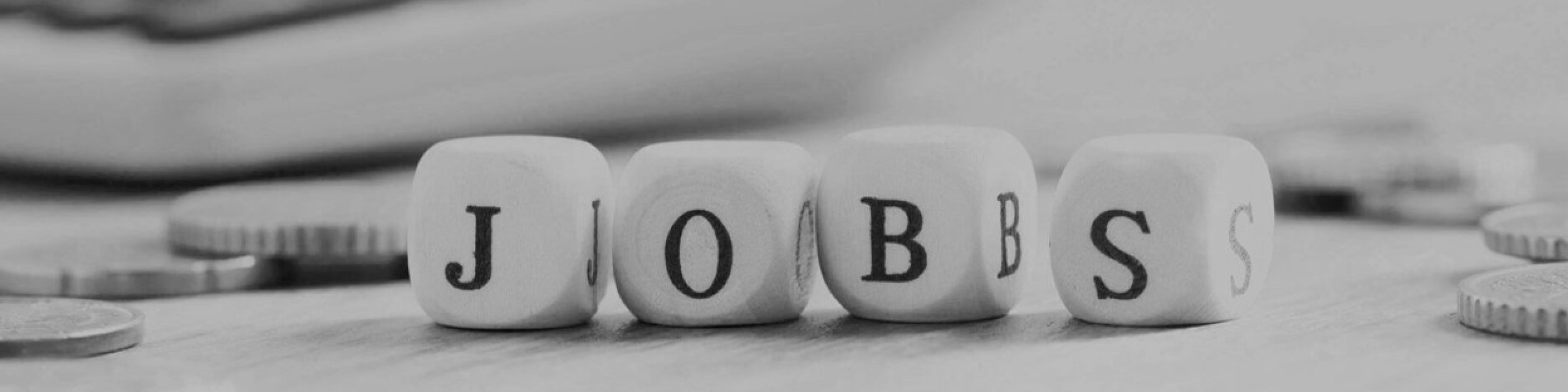 Jobs & Karriere